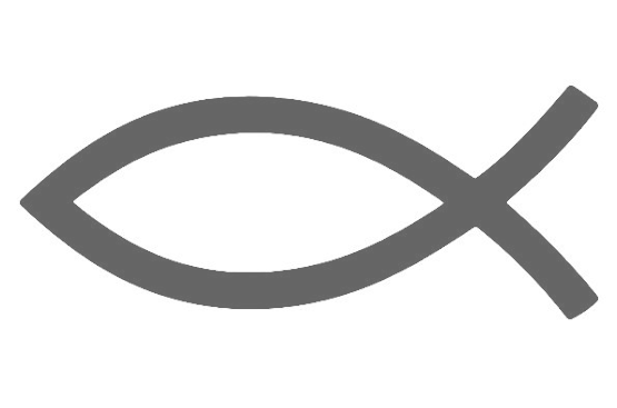 Sbor